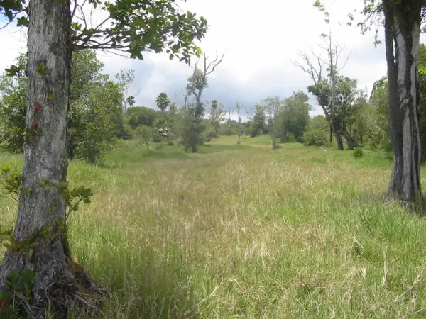 18-4480 MAKAALA, Mountain View, HI 96771