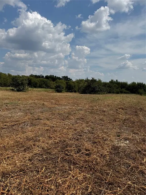 22 Longview Creek Trail, Itasca, TX 76055