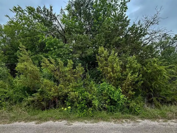 4627 Evening View Drive, Granbury, TX 76048