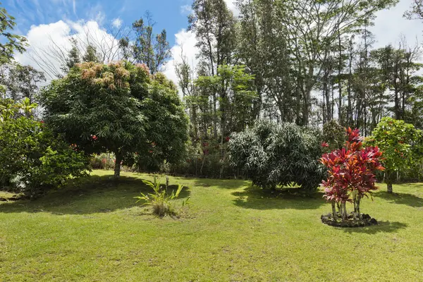 15-457 ANAE ST, Pahoa, HI 96778