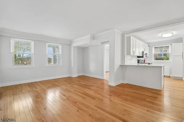 41 Elm St #1B, Morristown Town, NJ 07960