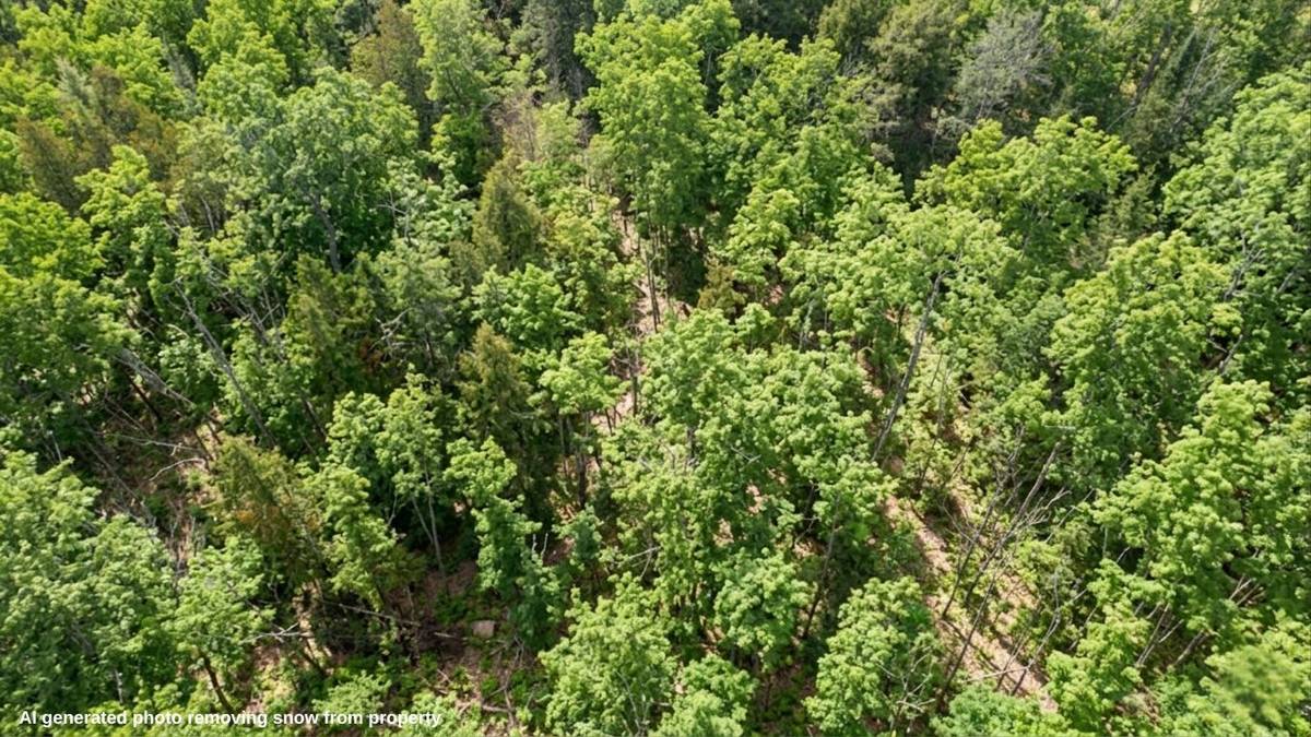 0 Swinburne LN, Stirling-rawdon, ON K0K 2M0