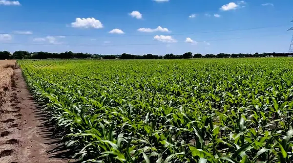 9775 County Road 505, Alvarado, TX 76009