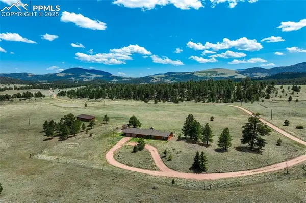 994 Deer LN, Guffey, CO 80820
