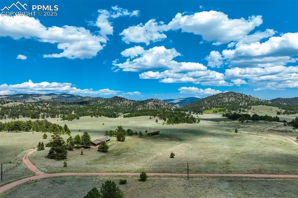 994 Deer LN, Guffey, CO 80820