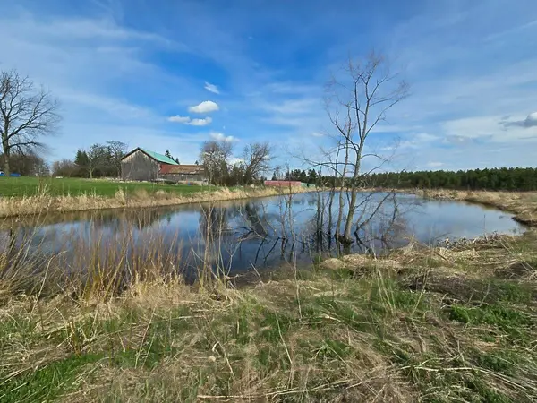 1030 Metler RD, Pelham, ON L0S 1C0