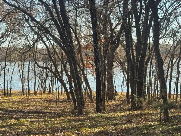 195 Smith Ranch Road, Collinsville, TX 76271