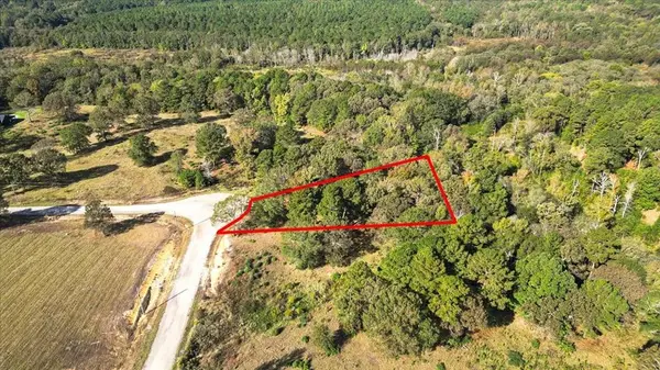 TBD PR 3398 Road, Big Sandy, TX 75755