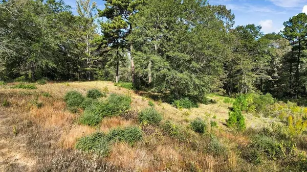 TBD Private Road, Big Sandy, TX 75755