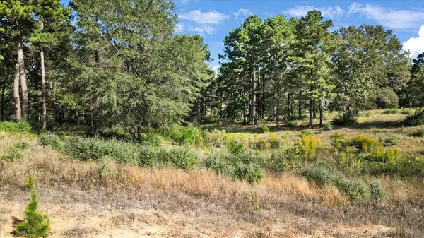 TBD Private Road, Big Sandy, TX 75755