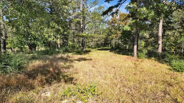 TBD Private Road, Big Sandy, TX 75755