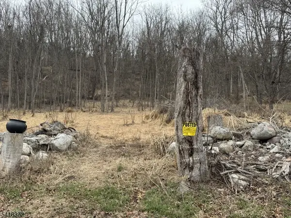 16 Cleveland Rd, Blairstown Twp., NJ 07832