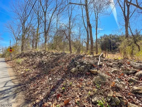 569 Ervey Rd, Allamuchy Twp., NJ 07821