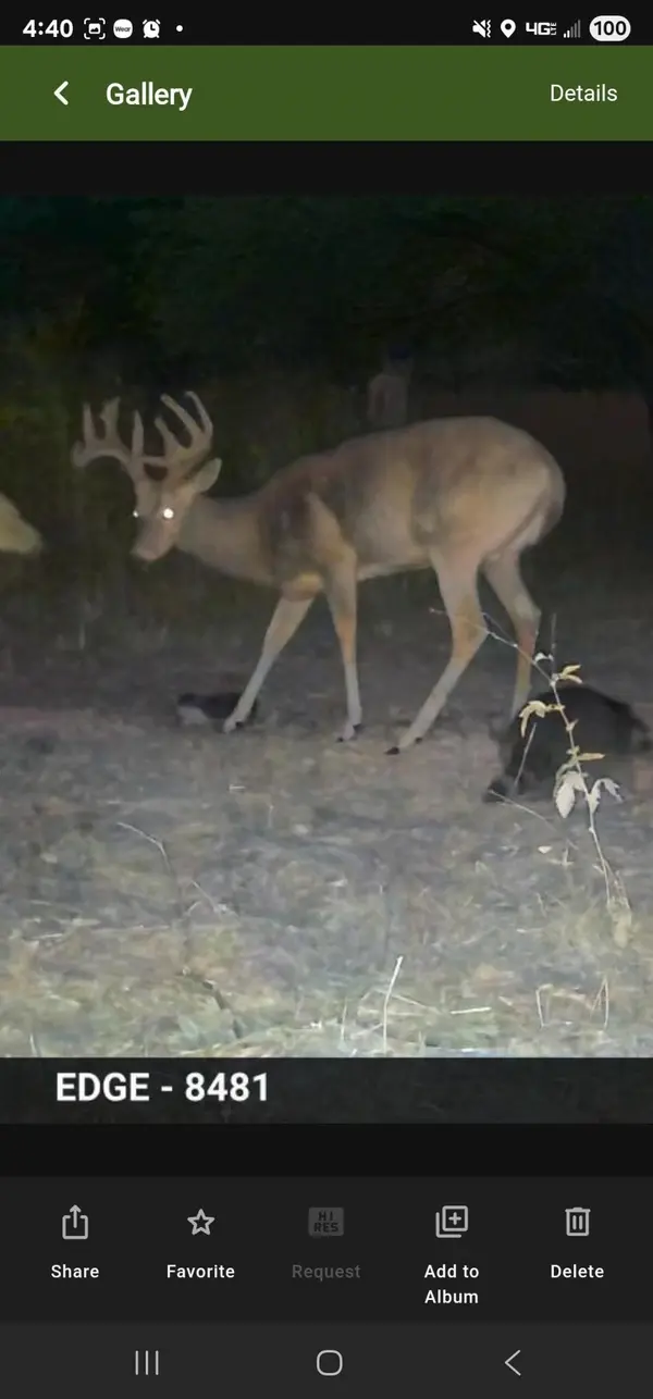 2790 S Gilmore RD, Deerfield Twp, MI 48858