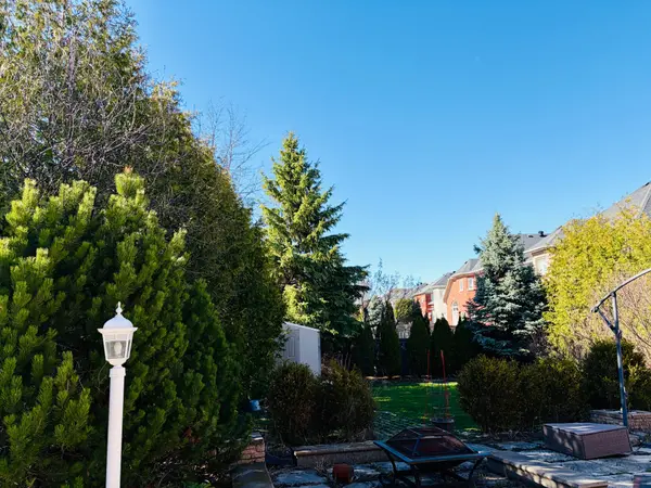 66 Macrill RD, Markham, ON L6C 1W7