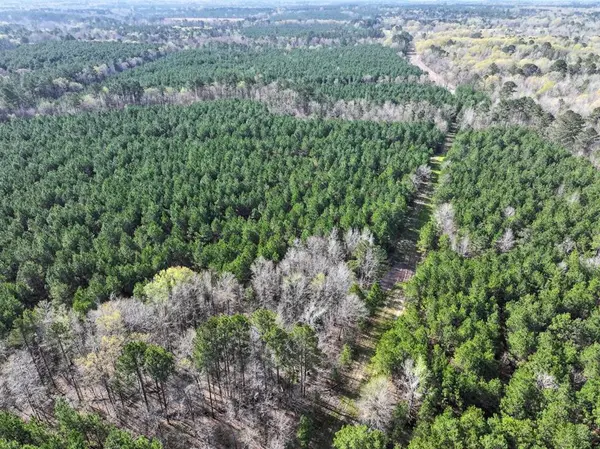 1 LA 168, Rodessa, LA 71069