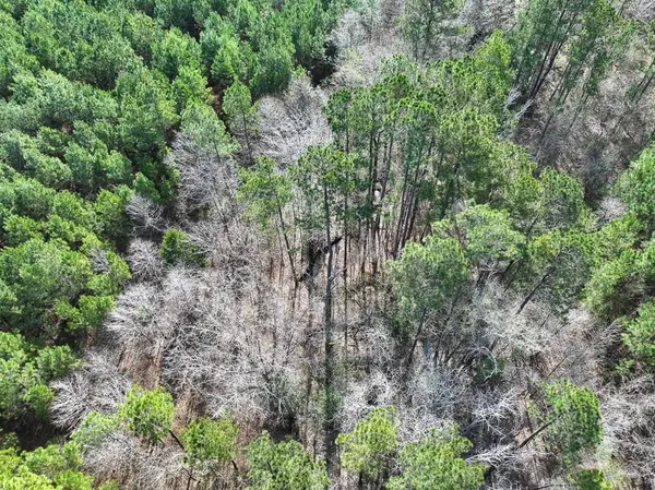 1 LA 168, Rodessa, LA 71069