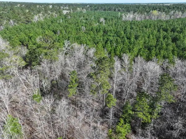 1 LA 168, Rodessa, LA 71069