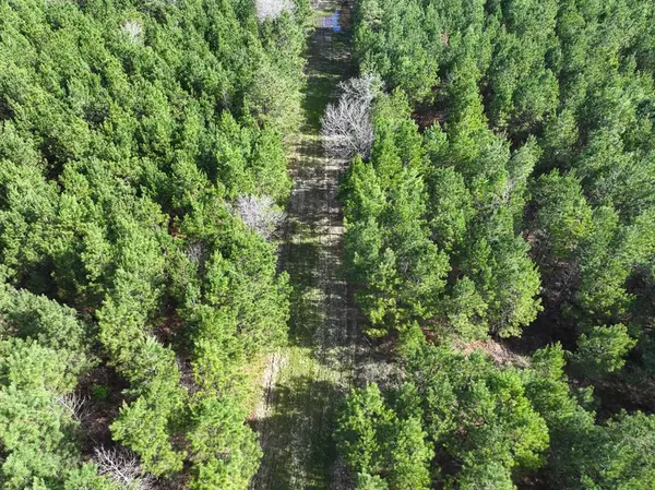 1 LA 168, Rodessa, LA 71069