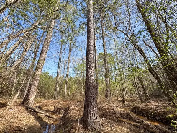 2 LA 168, Rodessa, LA 71069