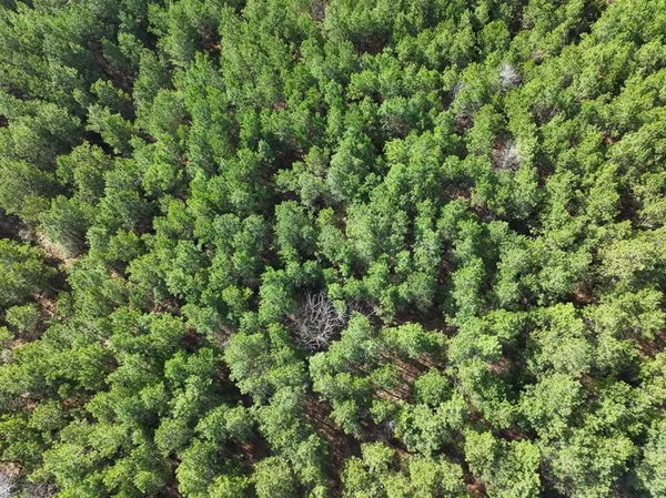 3 LA 168, Rodessa, LA 71069