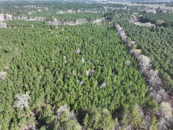 3 LA 168, Rodessa, LA 71069