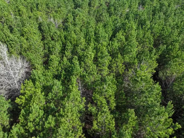 3 LA 168, Rodessa, LA 71069