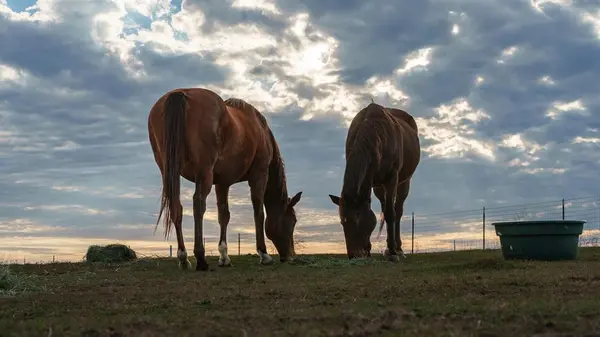 TBD Pop Noah Road, Collinsville, TX 76233