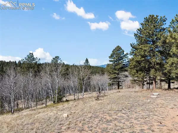 4265 County Road 51 RD, Divide, CO 80814