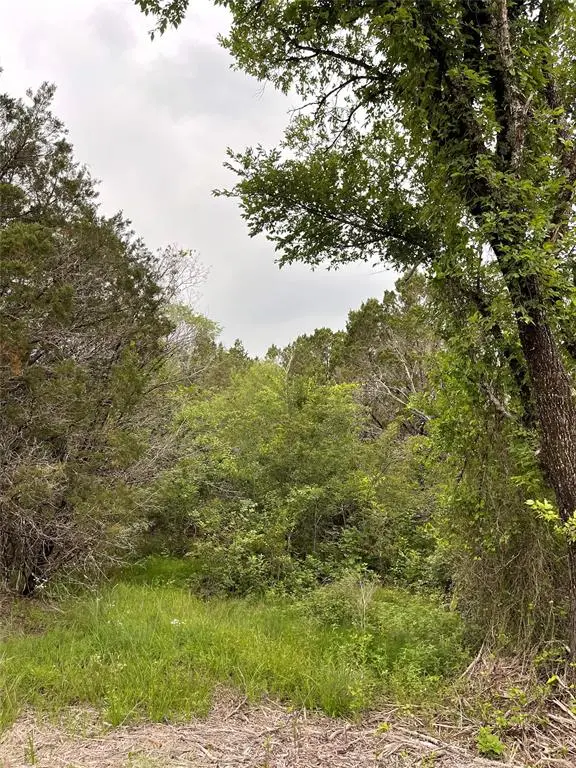 1083 Cedar Hill Drive, Nemo, TX 76070