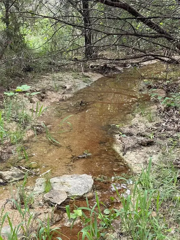 1083 Cedar Hill Drive, Nemo, TX 76070