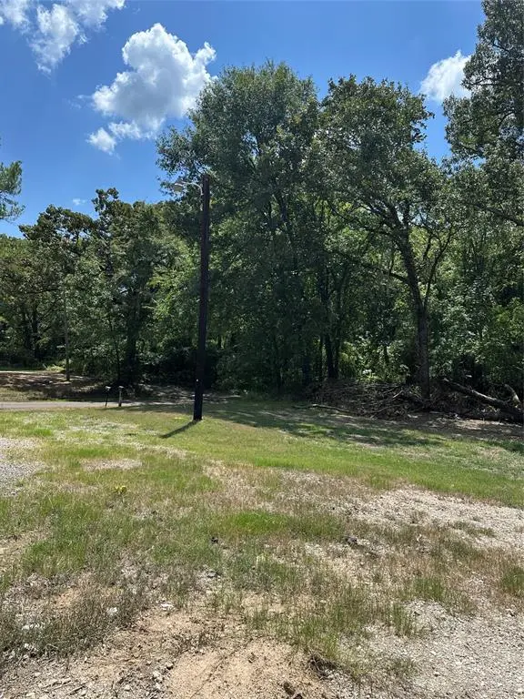 Tbd Vz County Road 1806, Grand Saline, TX 75140