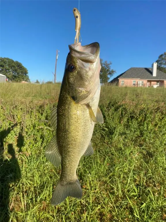 14856 Fm 59, Athens, TX 75751