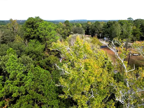 307 Cherokee Drive, Trinity, TX 75862