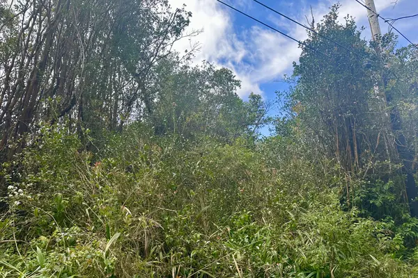 MAUNALANI TRACT RD, Mountain View, HI 96771