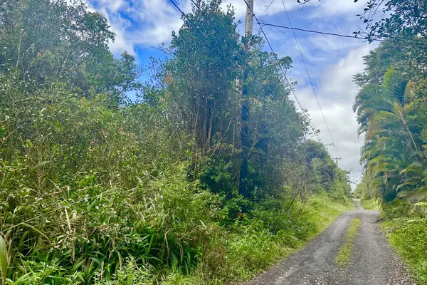 MAUNALANI TRACT RD, Mountain View, HI 96771