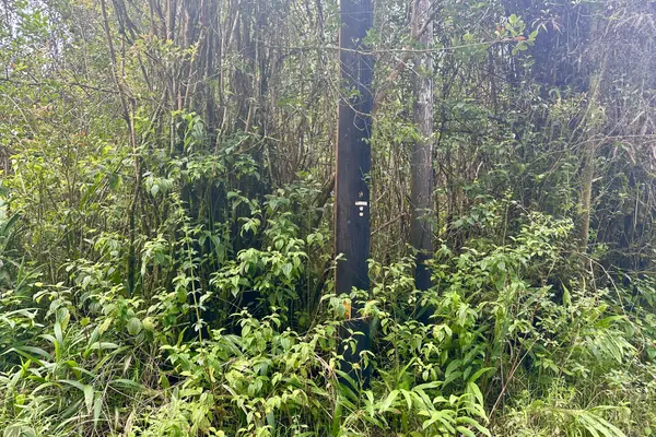 MAUNALANI TRACT RD, Mountain View, HI 96771