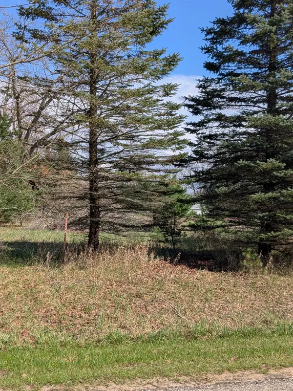 1005 Kent ST, Broomfield Twp, MI 48893