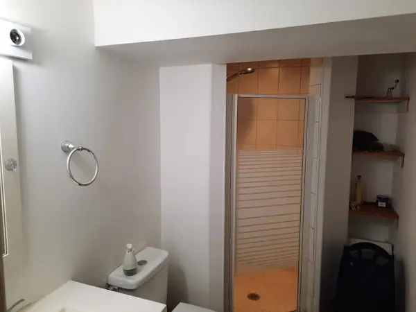 155 Gunn ST #Lower, Barrie, ON L4M 2H8