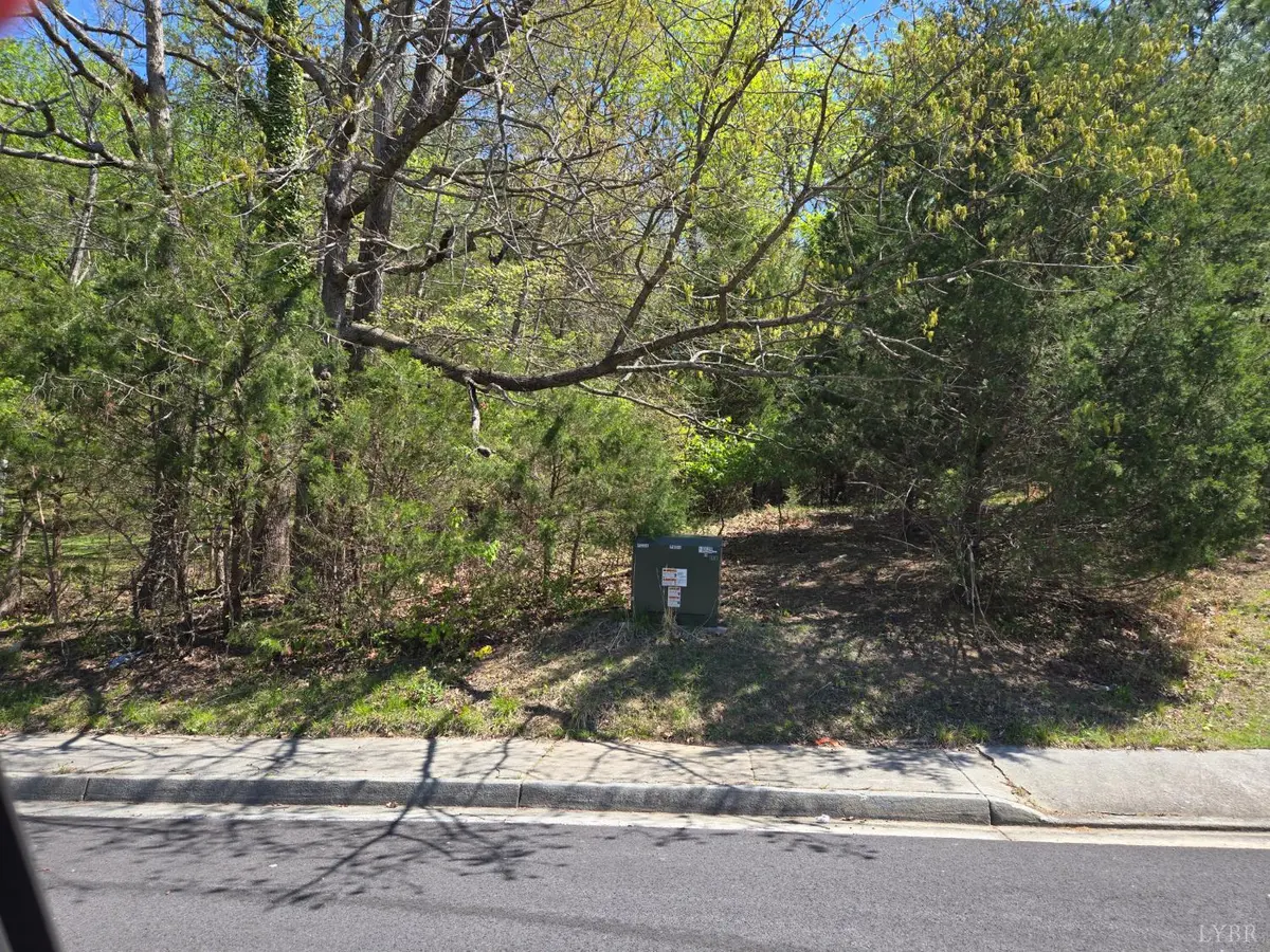 0 S Bridge ST, Farmville, VA 23901