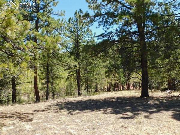 51 Mariposa DR, Cripple Creek, CO 80813