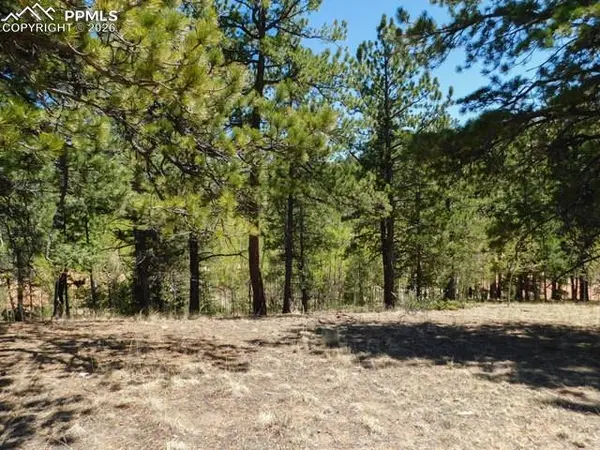 51 Mariposa DR, Cripple Creek, CO 80813