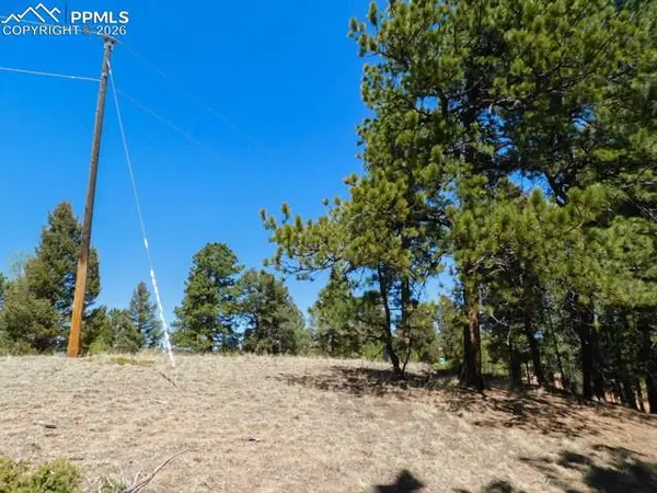 51 Mariposa DR, Cripple Creek, CO 80813