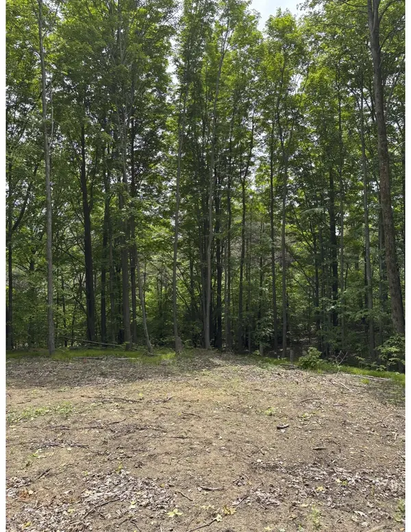 Parcel A N 45 RD, Cedar Creek Twp, MI 49663