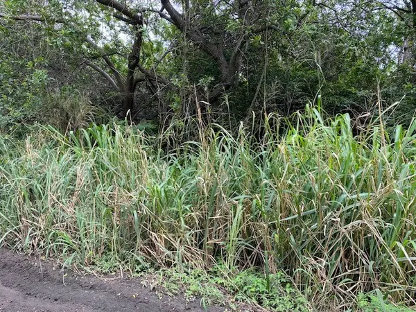KEKUHAUPIO RD, Naalehu, HI 96772