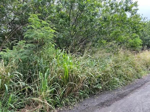 KEKUHAUPIO RD, Naalehu, HI 96772