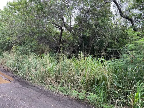 KEKUHAUPIO RD, Naalehu, HI 96772