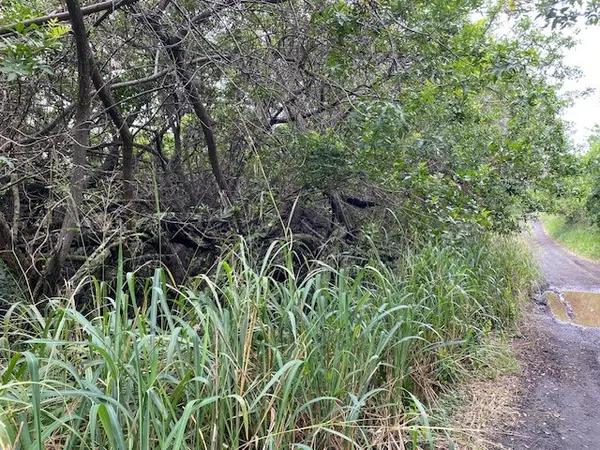 KEKUHAUPIO RD, Naalehu, HI 96772