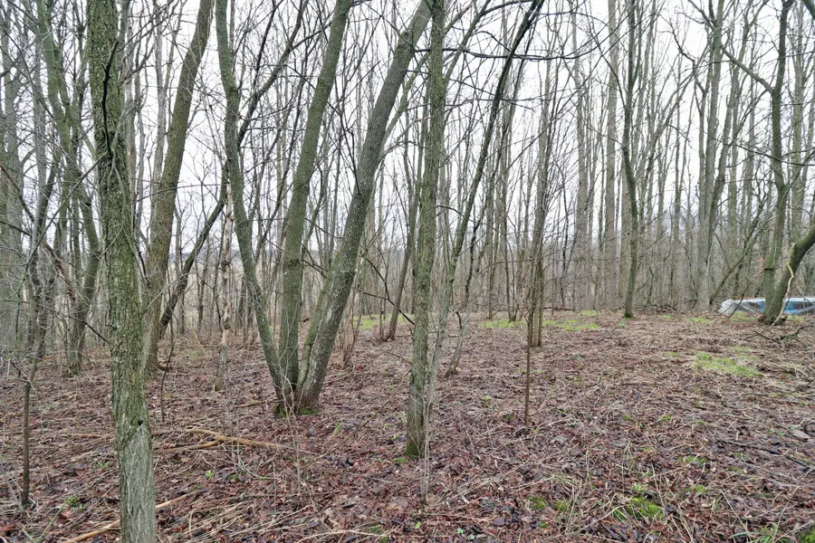 207 Goodfellow RD, Brighton, ON K0K 1R0