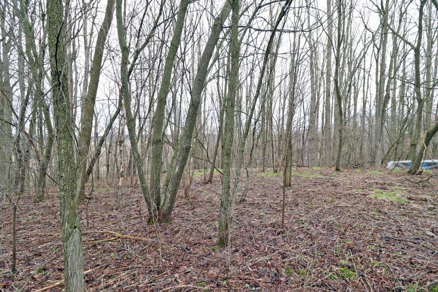 207 Goodfellow RD, Brighton, ON K0K 1R0